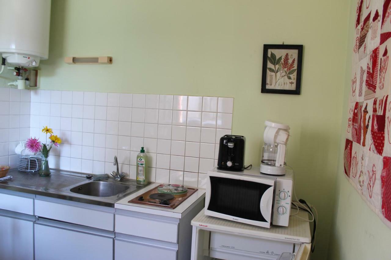 Appartement Val De Saone Seurre Exterior photo